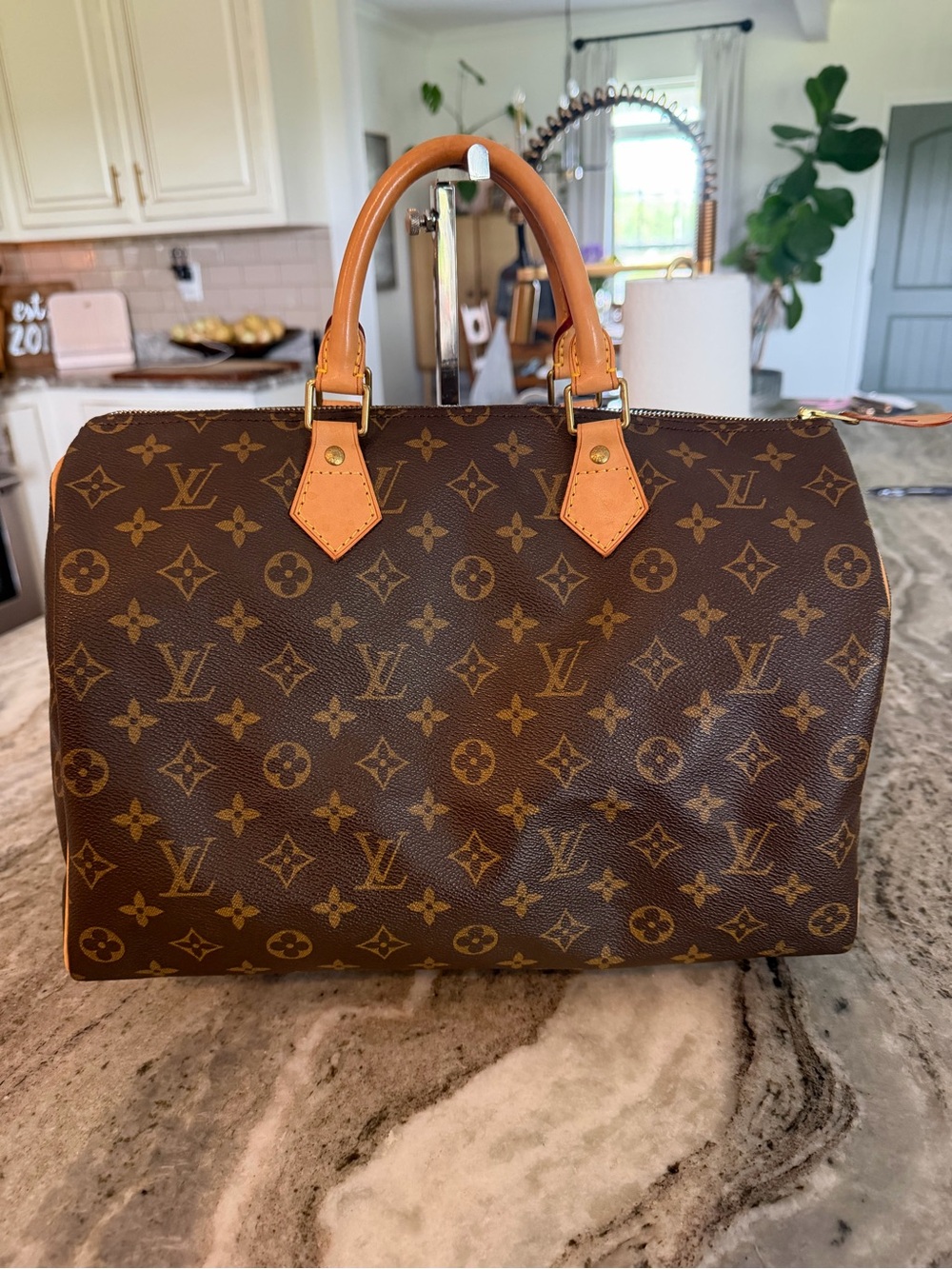 Louis Vuitton Speedy 35